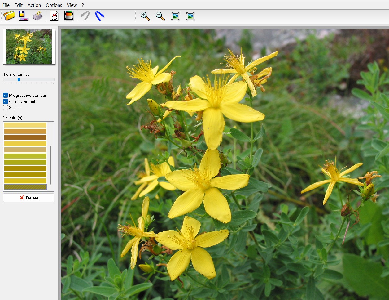 Photo Black and Color