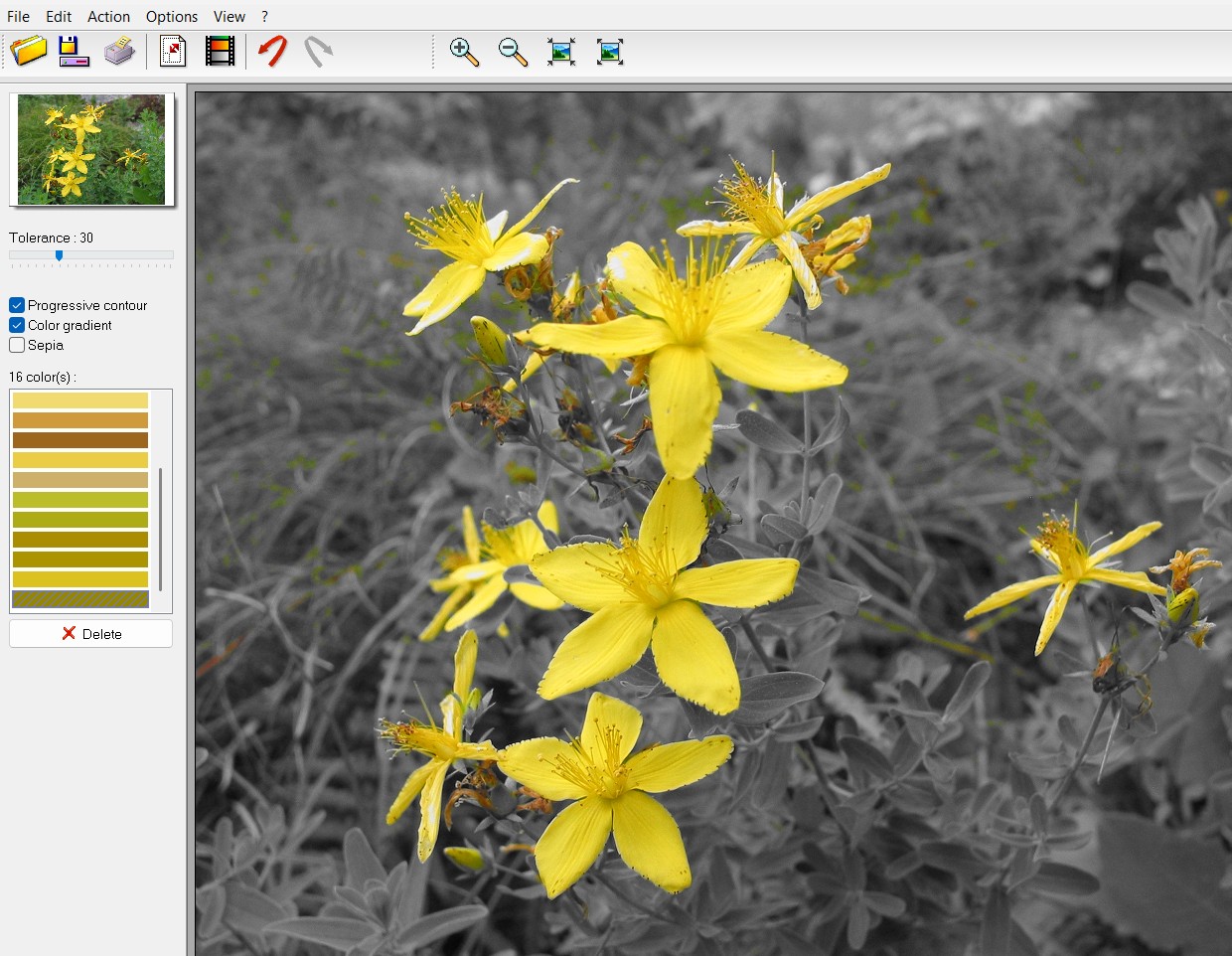 Photo Black and Color